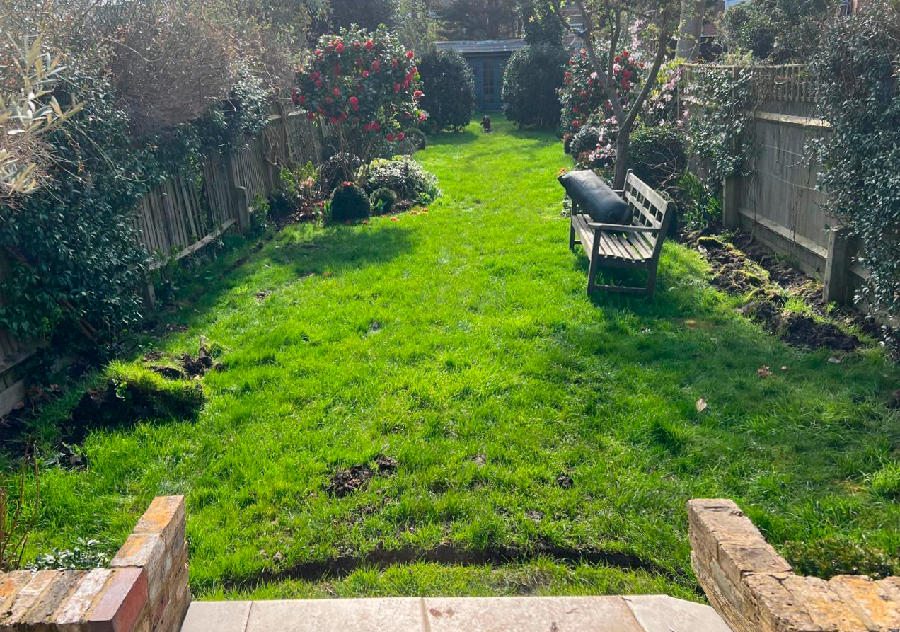 Garden after artificial grass installation